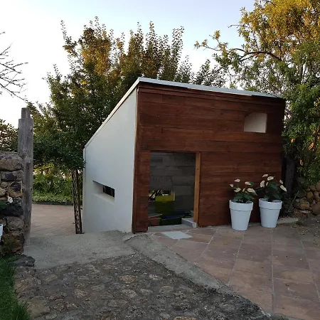 Ciruelos * Icod De Los Vinos