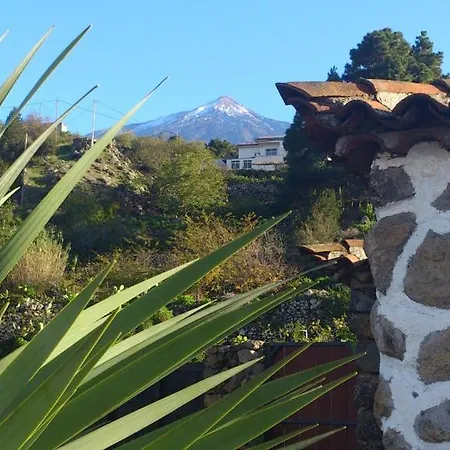 Ciruelos * Icod De Los Vinos