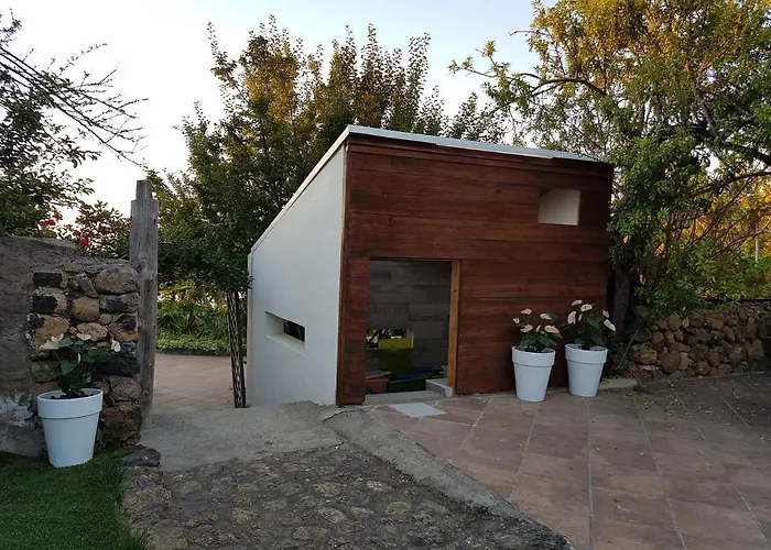 Ciruelos * Icod De Los Vinos