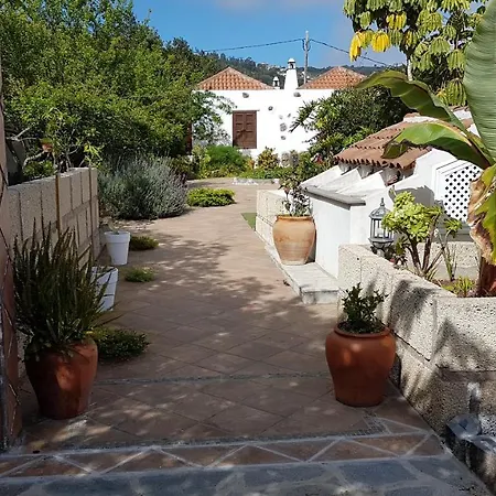 Ciruelos