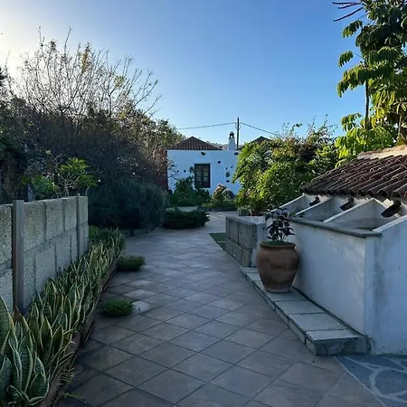 Ciruelos Icod de los Vinos