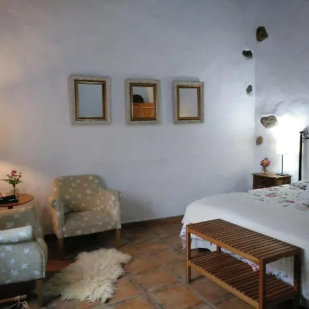 Ciruelos * Icod De Los Vinos