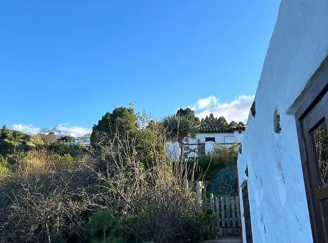 Ciruelos Villa Icod De Los Vinos