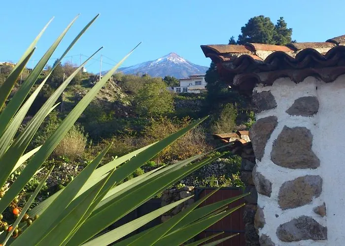 Ciruelos * Icod De Los Vinos